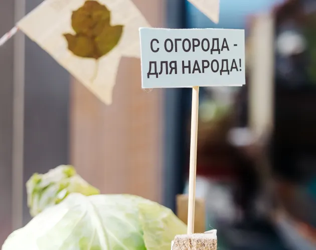 11-я осенняя благотворительная ярмарка прошла в «Точке будущего»